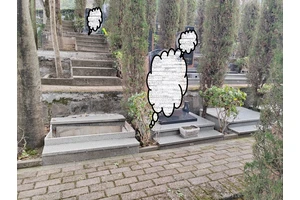 树葬的推崇新式