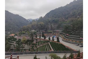重庆歌乐山公墓祭扫服务方案