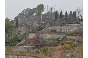 春节祭扫的原因